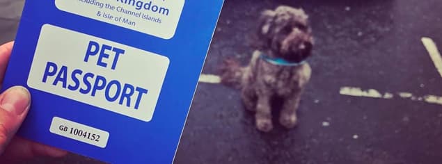 pet passport