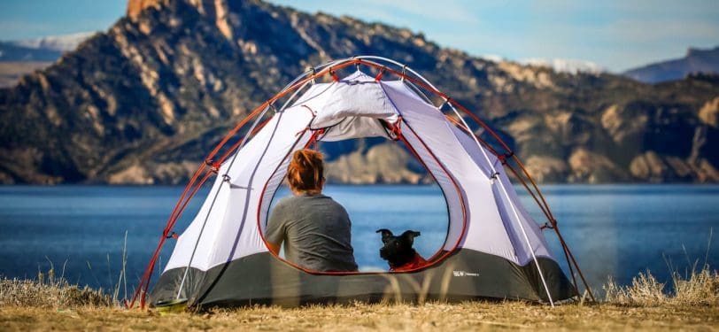 dog and pilgrim in a tent camino de santiago