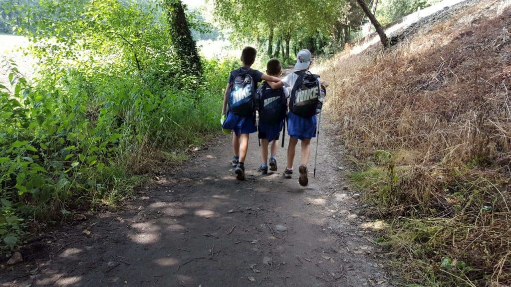 brothers walking together